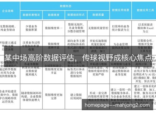 某中场高阶数据评估，传球视野成核心焦点